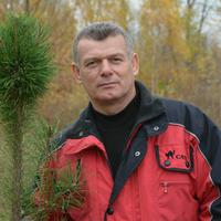 Отзыв от Николай - виза ДТВ